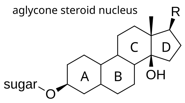 Cardiac_glycoside.png